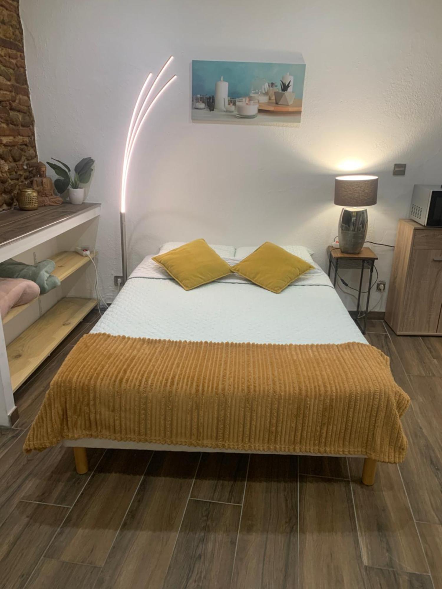 Studio 25M2 En Plein Coeur De Perpignan Extérieur photo
